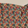 fa34587-sentoni-xoris-lastixo