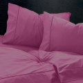 sentonia-fucsia