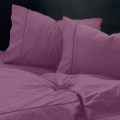 sentonia-raspberry-rose