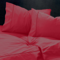 sentonia-red