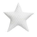 maksilari-asteri-white