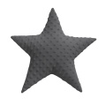 maksilari-asteri-charcoal