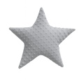 maksilari-asteri-light-gray