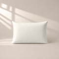cottonsatin-106-chamagne-pillow-moni