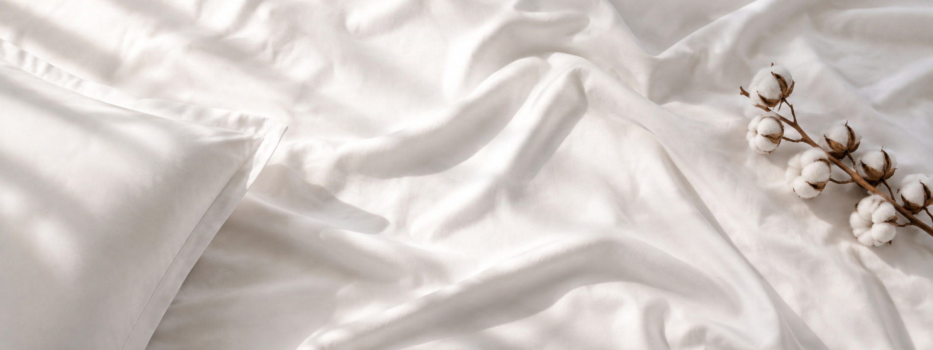 hero_2_egyptian_cotton_top_shot_desktop
