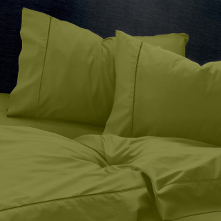 sentonia-bright-green