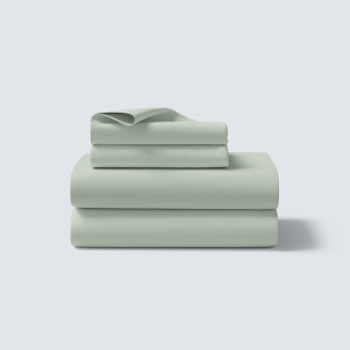 p11_set-diplo-folded