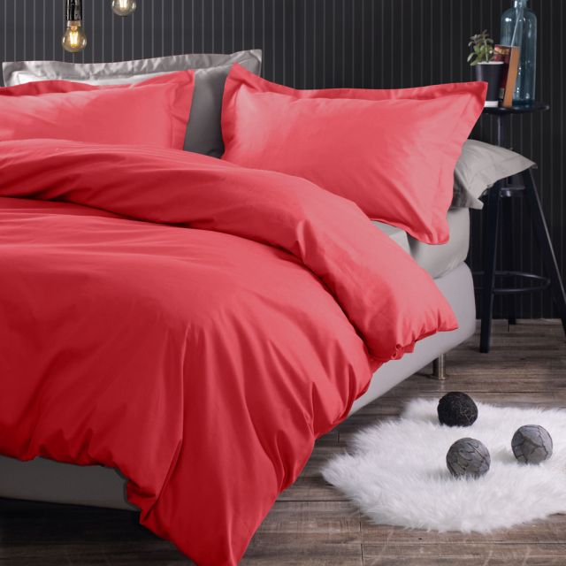 scenario-duvet-korali