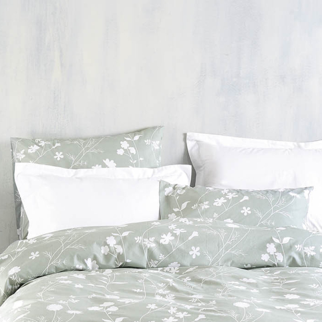 everly-green-maxilarothikes