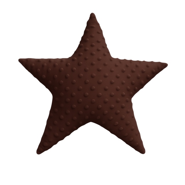 maksilari-asteri-chocolate