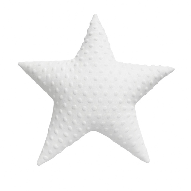 maksilari-asteri-white