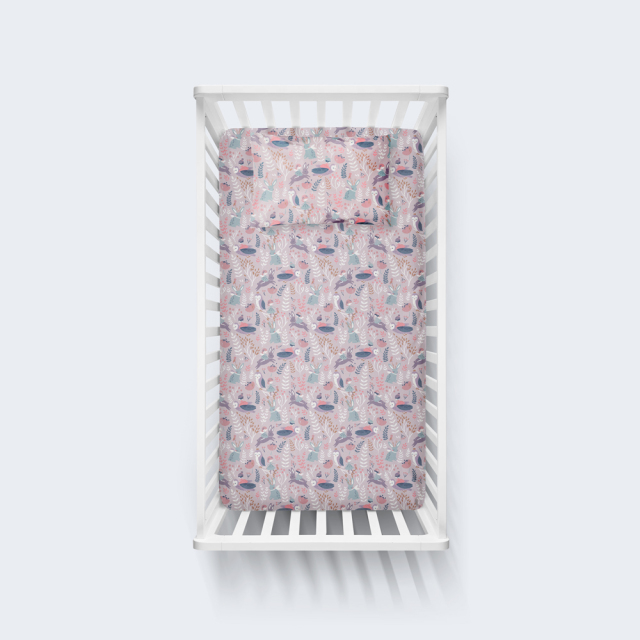 f06-sentonia-set-kounia