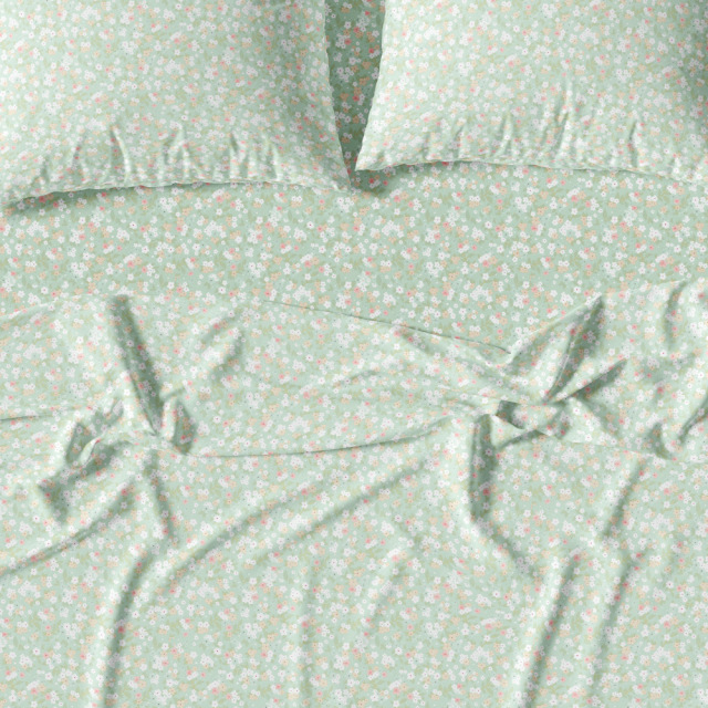 575-sentonia-full-set-diplo