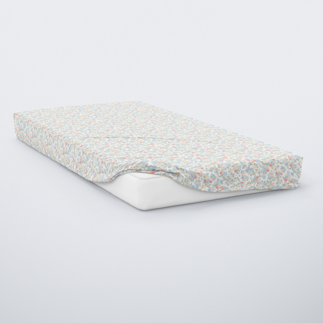 576-sentoni-lastixo-diplo-2