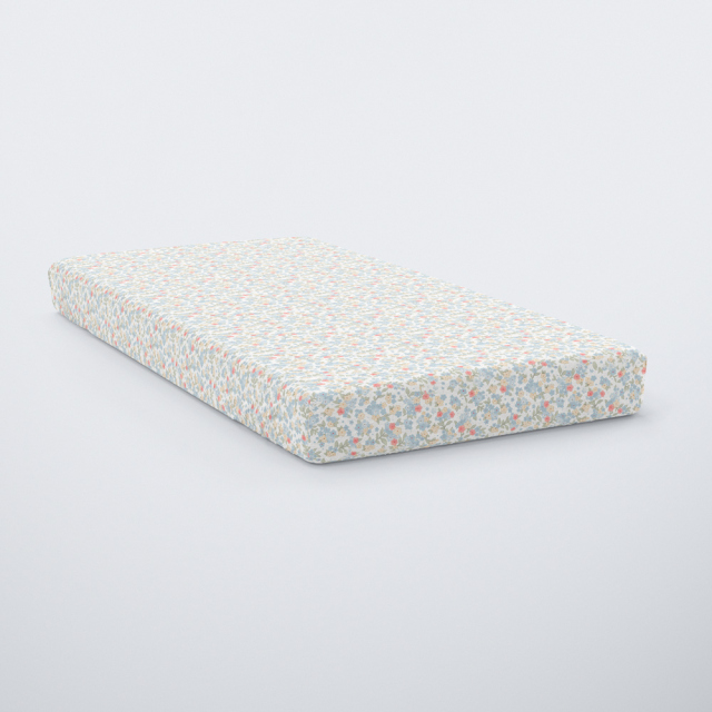 576-sentoni-lastixo-diplo