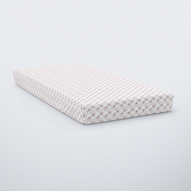 582-sentoni-lastixo-diplo