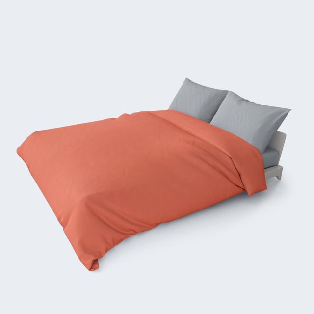 43-duvet-diplo 0